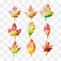 ʸ��ͼˮ�������Ҷ-������