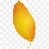 橙色枫叶免扣素材-空若网 橙色枫叶免扣素材-空若网