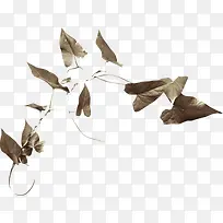 枯叶-空若网 枯叶-空若网