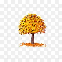 金钱树-空若网 金钱树-空若网