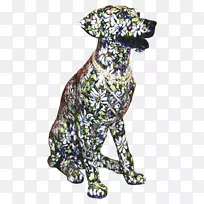 拉布拉多猎犬澳大利亚牛犬宠物罗特县人道协会动物收容所奥利维亚王尔德-空若网 拉布拉多猎犬澳大利亚牛犬宠物罗特县人道协会动物收容所奥利维亚王尔德-空若网