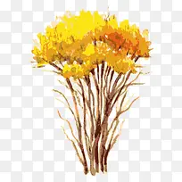 树 树木-空若网 树 树木-空若网