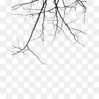 黑色的枯树枝-空若网 黑色的枯树枝-空若网