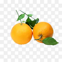 生鲜水果-空若网 生鲜水果-空若网