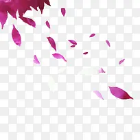 ��ɫ��Ҷ-������