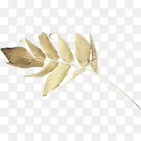 枯叶-空若网 枯叶-空若网