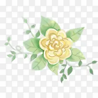 时尚简约花朵美景-空若网 时尚简约花朵美景-空若网