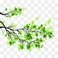 现代简约绿色树枝-空若网 现代简约绿色树枝-空若网