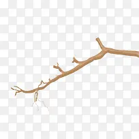 �ִ���Լ��ɫ��֦-������