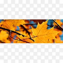 时尚简约大气背景-空若网 时尚简约大气背景-空若网