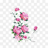 �����ز�-������