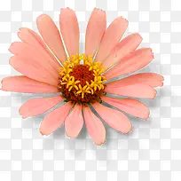 ��ɫ����ʱ�л������-������