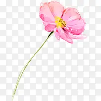 水彩粉色春色花朵-空若网 水彩粉色春色花朵-空若网