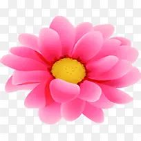 粉色卡通绚丽花朵时尚-空若网 粉色卡通绚丽花朵时尚-空若网