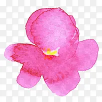 粉色春天花朵水彩-空若网 粉色春天花朵水彩-空若网