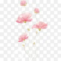 手绘花朵-空若网 手绘花朵-空若网