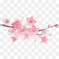 春天古风粉色花朵树枝-空若网 春天古风粉色花朵树枝-空若网