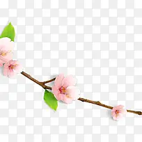 ��ɫ��ͨ������֦-������