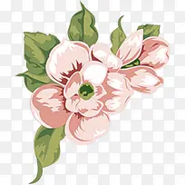 ��ɫˮ����������-������