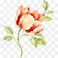 手绘黄粉色水彩花朵-空若网 手绘黄粉色水彩花朵-空若网