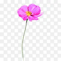 粉色水彩春季花朵-空若网 粉色水彩春季花朵-空若网