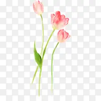 粉色水彩花朵植物-空若网 粉色水彩花朵植物-空若网