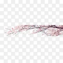 粉色梦幻树枝花朵-空若网 粉色梦幻树枝花朵-空若网