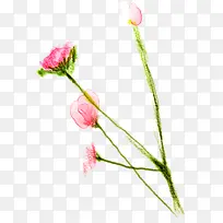 ��ɫ��������ˮ��-������