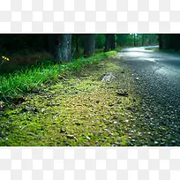 ����Ч���̵ظ�����Ӱ-������