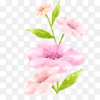 粉色彩色水墨花朵-空若网 粉色彩色水墨花朵-空若网