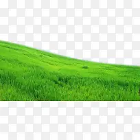 绿地-空若网 绿地-空若网