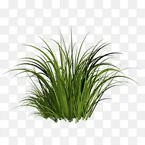 草-空若网 草-空若网