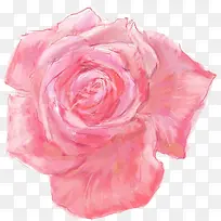 ��ɫˮ����ƻ���-������