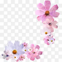 粉色漂浮水彩花朵-空若网 粉色漂浮水彩花朵-空若网