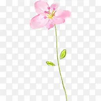 粉色可爱清纯花朵-空若网 粉色可爱清纯花朵-空若网