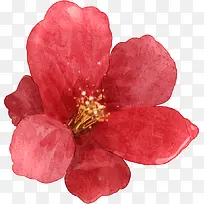 手绘粉色水彩小花朵-空若网 手绘粉色水彩小花朵-空若网