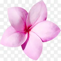 ��ɫ�ɰ����䴴��-������