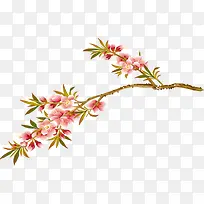 粉色可爱大气花朵-空若网 粉色可爱大气花朵-空若网