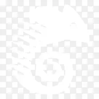 联合国大学计算机与社会学会电子邮件商务计算机软件变色龙-空若网 联合国大学计算机与社会学会电子邮件商务计算机软件变色龙-空若网