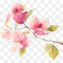 粉色可爱花朵美景-空若网 粉色可爱花朵美景-空若网