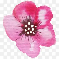 粉色可爱花朵手绘-空若网 粉色可爱花朵手绘-空若网