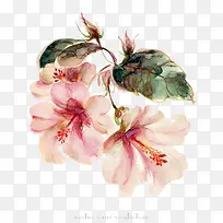 粉色大气时尚花朵春天-空若网 粉色大气时尚花朵春天-空若网