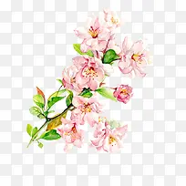 粉色个性时尚花朵-空若网 粉色个性时尚花朵-空若网