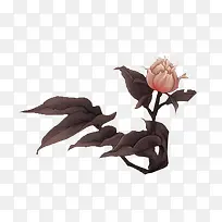 ��ɫʱ����ƻ���-������