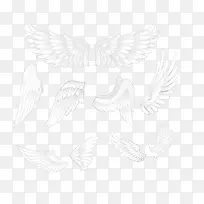 翅膀-空若网 翅膀-空若网