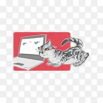 电脑-空若网 电脑-空若网