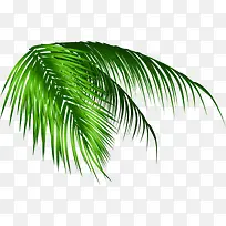 绿色春天时尚树枝手绘-空若网 绿色春天时尚树枝手绘-空若网