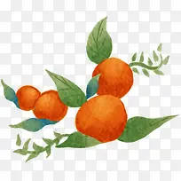 手绘精致果实树枝-空若网 手绘精致果实树枝-空若网