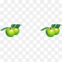 绿色青苹果树枝手绘-空若网 绿色青苹果树枝手绘-空若网