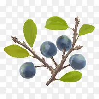 �ֻ�ˮ����֦-������